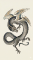 酸与
