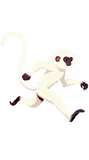 白猿-角色图-1.png