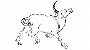兕-角色图-山海经插图.png