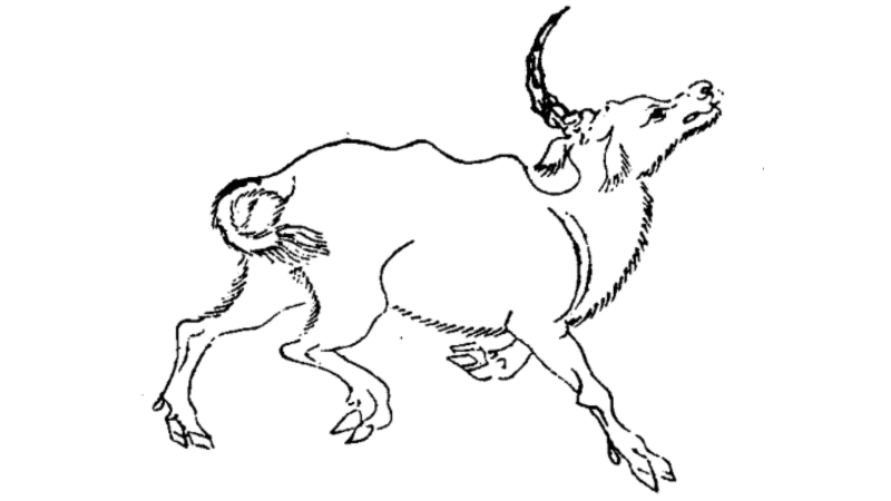 文件:兕-角色图-山海经插图.png
